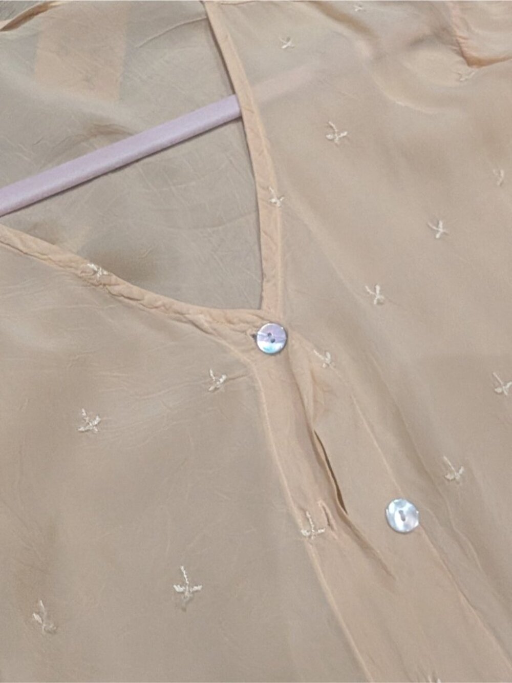 Vintage Sheer Embroidered Button-Front Blouse in Beige - Picture 6 of 10